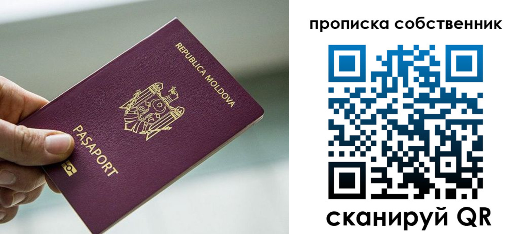 прописка паспорт в Новотроицке